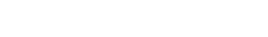 Logo Risco DSM